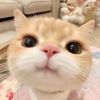 may_mayly1999