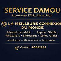 service_damou