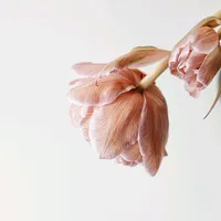 original sound - bidurabdullah