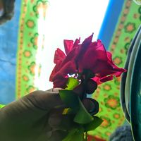 itz_me_badhon_1