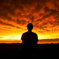 suara asli - user55225304813065