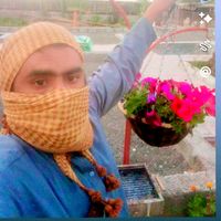 walirahman616