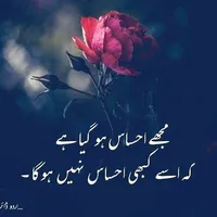original sound - adan.mushtaq64