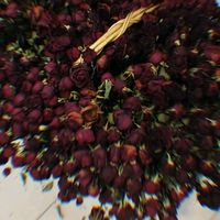 add_23.03