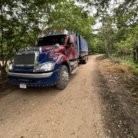 optimus4031