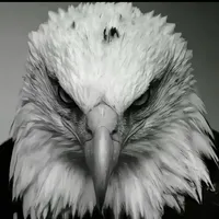 original sound - unknownn___333