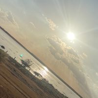 الصوت الأصلي