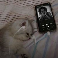 оригинальный звук