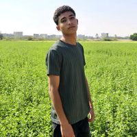 omar_hamed81