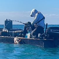 原聲 - 台大精神麻醉科👑黃大仙👑