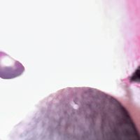 puppychocolate_