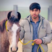 aligujjar1.2
