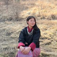 yangkilyy