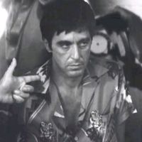 tonymontana.282