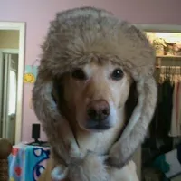 original sound - romchynk