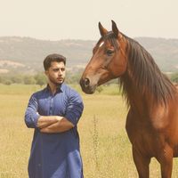 hussnainabid094