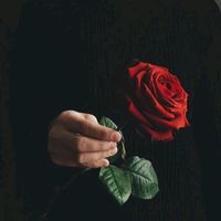 angelanddemon29