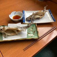 オリジナル楽曲 - Rio.D🐣🐣🐣🐣🐣🐣