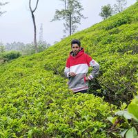 pavi_srilanka_traveler