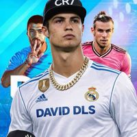 dls_26_fan