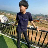 frame_sapper