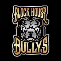 blockhousebullysnz