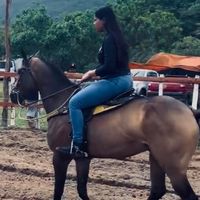 eubiavieira