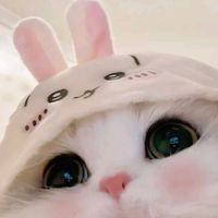 pink_cat777