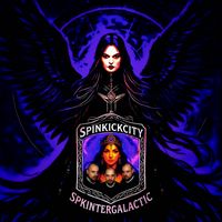 spinkickcity