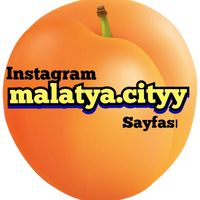 malatya.cityy