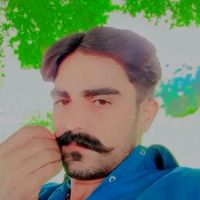 malik.shahid509