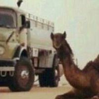 ahjed.ahmed