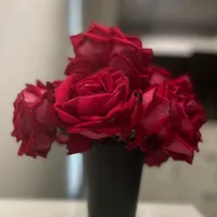 original sound - _daisy2912