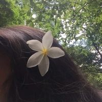 kaushi_085