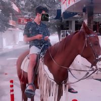 الصوت الأصلي