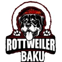 rottweilerbaku