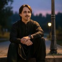 sayedrazishahfakhri313