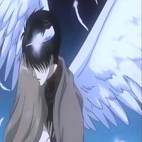 spider_beyond_grace