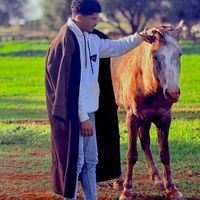 الصوت الأصلي