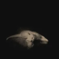 original sound - ljrui