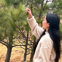 yangday1224