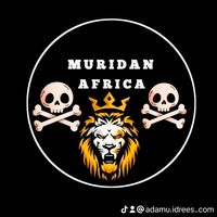 adamu.idrees..com