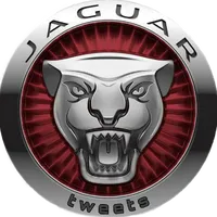 original sound - .jaguar_tweets