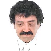 orijinal ses