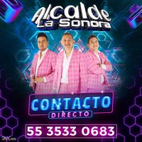 alcaldelasonora