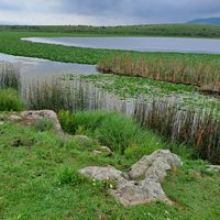 оригинальный звук