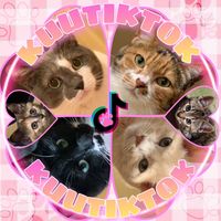 安心して下さい モフモフですよ