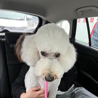 オリジナル楽曲 - タケぴー