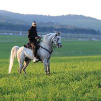 zaidkilany
