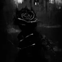 original sound - _5queen2